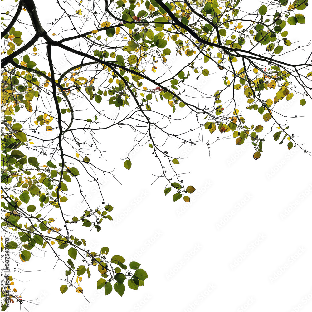 Plant And Tree, Generative AI Plant And Tree, Generative AI