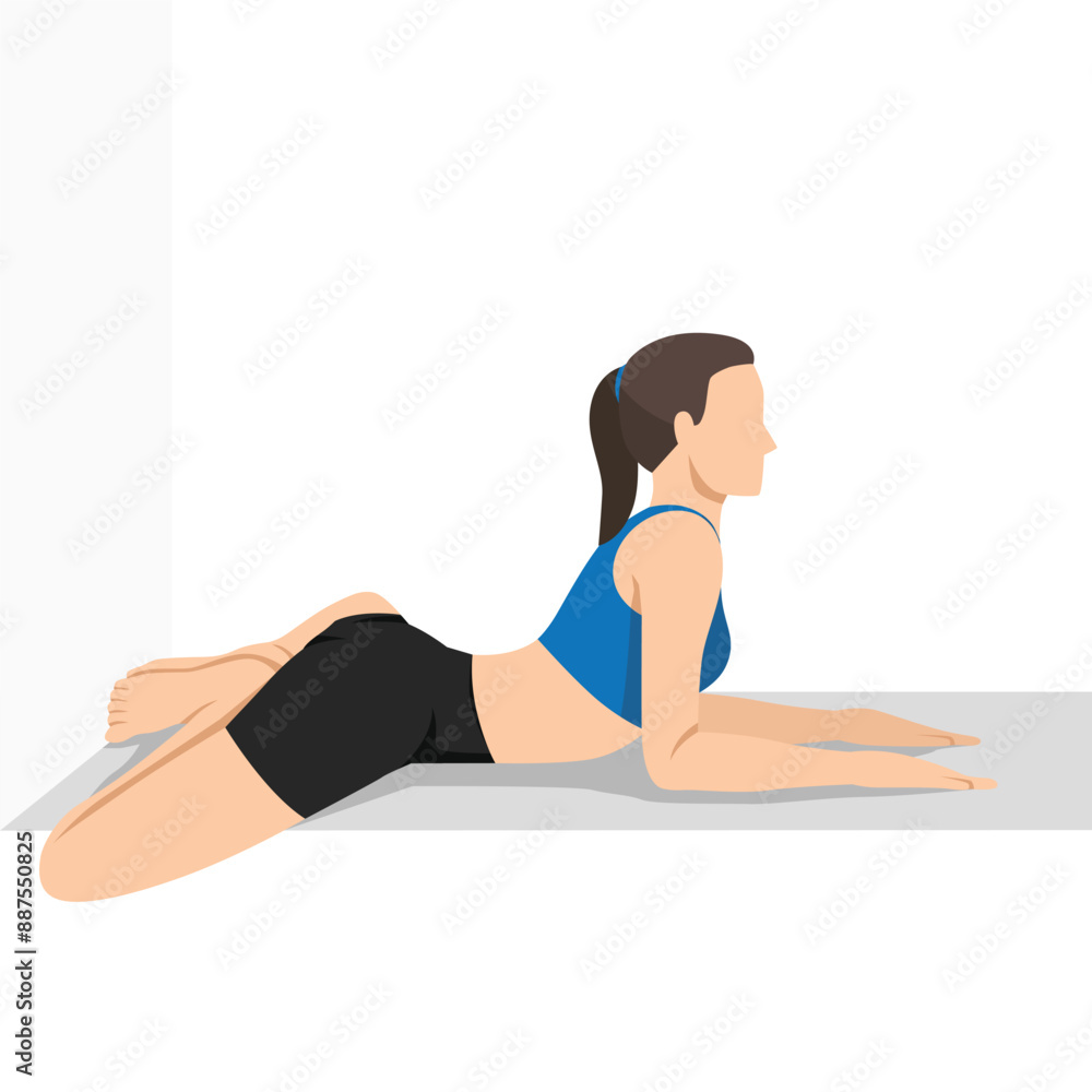 Woman doing Sphinx Pose Bound Angle Legs Wall or Salamba Bhujangasana Pada Baddha Konasana Wall. Flat vector illustration isolated on white background Woman doing Sphinx Pose Bound Angle Legs Wall or Salamba Bhujangasana Pada Baddha Konasana Wall. Flat vector illustration isolated on white background