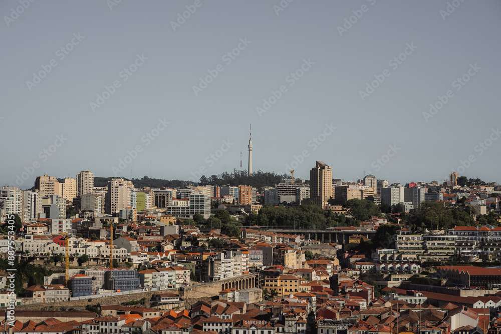 Obraz premium Panoramic view of city with tower visible from high vantage point