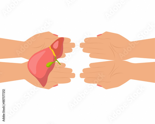 hands holding donation liver World hepatitis day