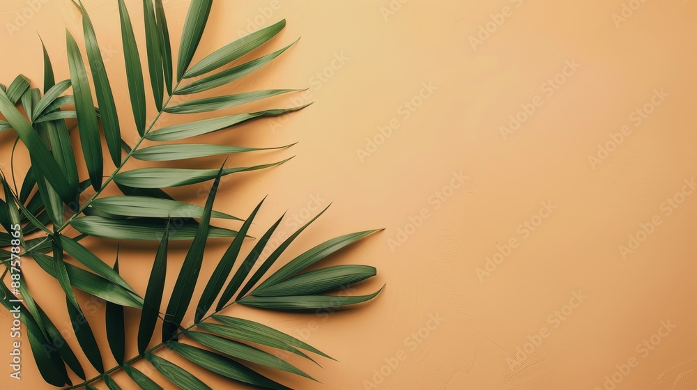 Tropical Leaves on a Beige Background - Close-up of green palm leaves on a beige background, creating a minimal and tropical aesthetic. Tropical Leaves on a Beige Background - Close-up of green palm leaves on a beige background, creating a minimal and tropical aesthetic.