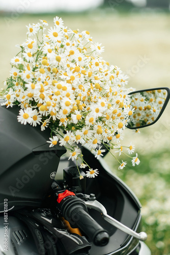 A motorcycle in a field with daisies. Summer, daisies.