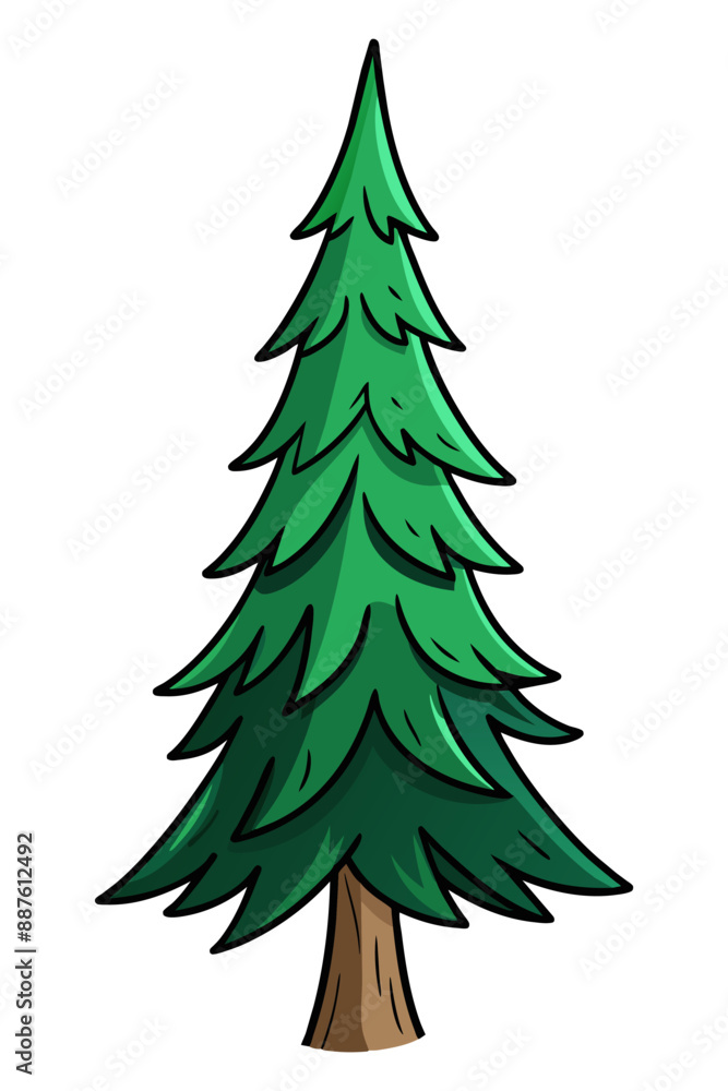 Hand drawn spruce tree isolated on white. Evergreen plant. Cartoon style vector illustration Hand drawn spruce tree isolated on white. Evergreen plant. Cartoon style vector illustration