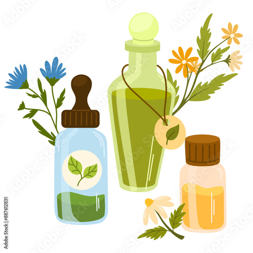 Aromatic herbs and herbal medicinal elixirs in bottles. Flowers, floral plants, leaf. Alternative natural essences. Flat graphic vector illustration isolated on white background