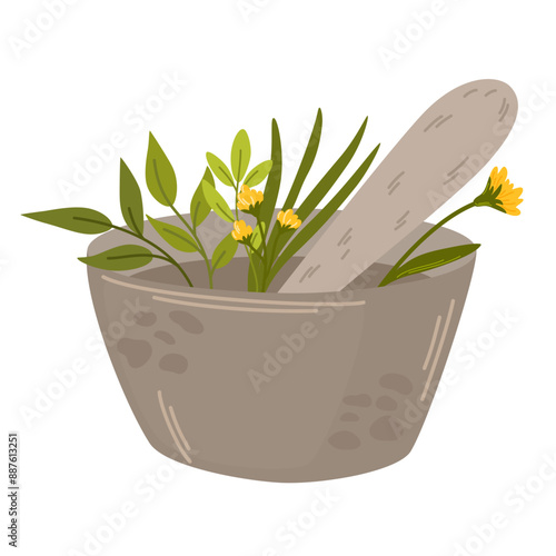 Grinding herbs in mortar with pestle. Organic natural remedy from herbal leaf plant in bowl. Pistil and pot for cooking homeopathy medicine. Flat vector illustration isolated on white background