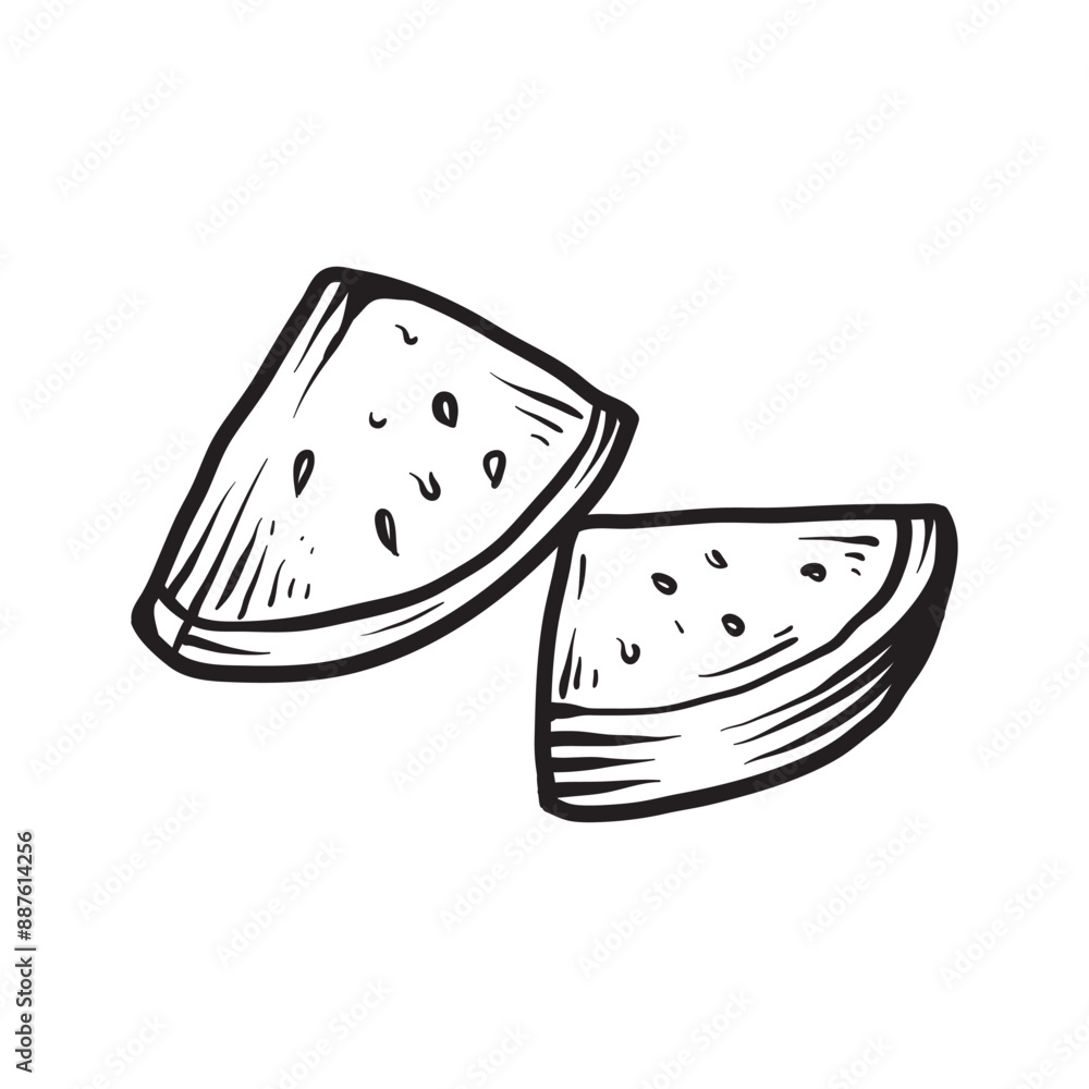 two slide of the watermelons line art sketch classic vintage design illustration two slide of the watermelons line art sketch classic vintage design illustration