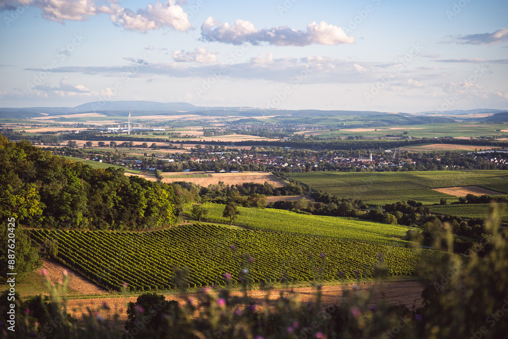 Blick zum Donnersberg. Napoleonsturm bei Sprendlingen in Rheinhessen, Juli 2024