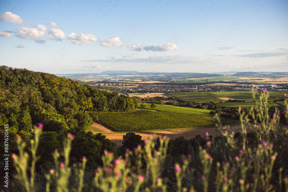 Blick zum Donnersberg. Napoleonsturm bei Sprendlingen in Rheinhessen, Juli 2024