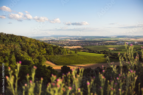 Obraz na płótnie Blick zum Donnersberg. Napoleonsturm bei Sprendlingen in Rheinhessen, Juli 2024 w salonie