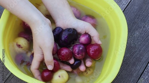 Potatoes are washed by a girl in a bowl of water before cooking a delicious dish