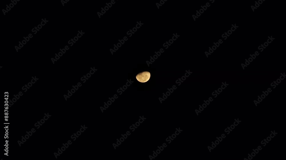Orange Moon Wide Shot Australia Victoria Gippsland Maffra Orange Moon Wide Shot Australia Victoria Gippsland Maffra