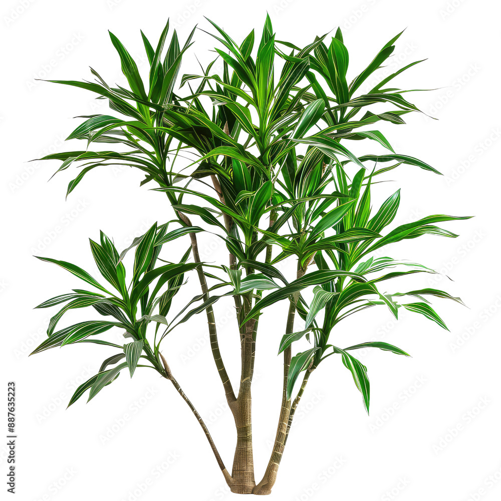 Plant And Tree, Generative AI Plant And Tree, Generative AI