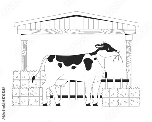 Cow eating hay in barn black and white flat line illustration. Milk farm animal with dried grass packs 2D lineart character isolated. Large cattle agricultural breeding monochrome vector outline image