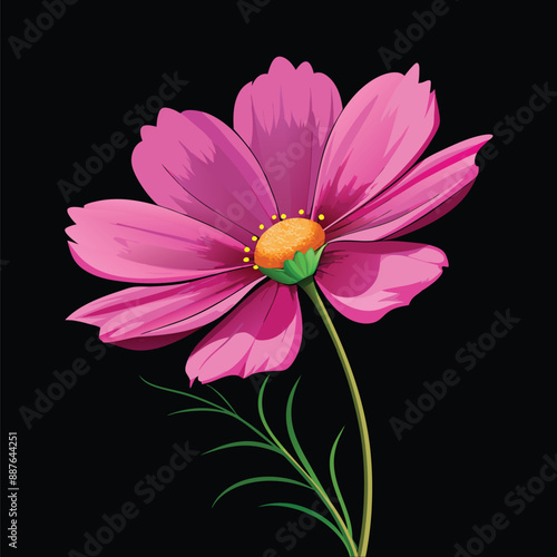 Beautiful Multicolor Flower vector design