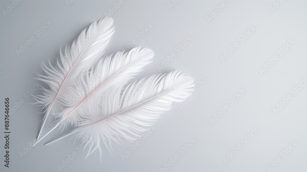Obraz premium A serene cluster of white feathers on a plain background, embodying peace and divine faith