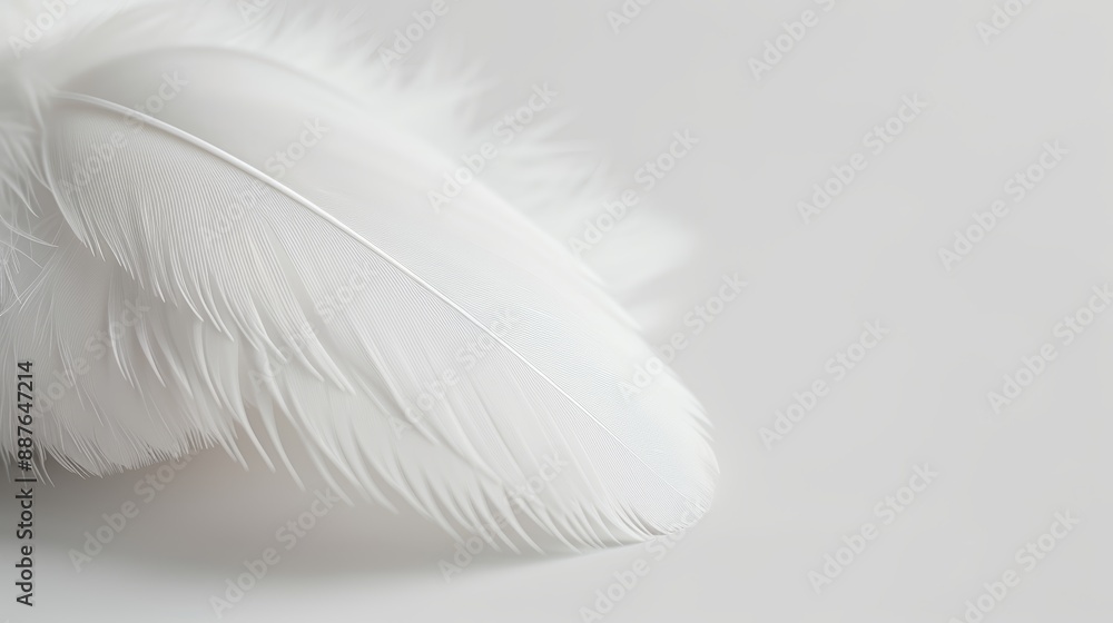 Obraz premium Elegant white bird plumage on a soft background, depicting spirituality and hope