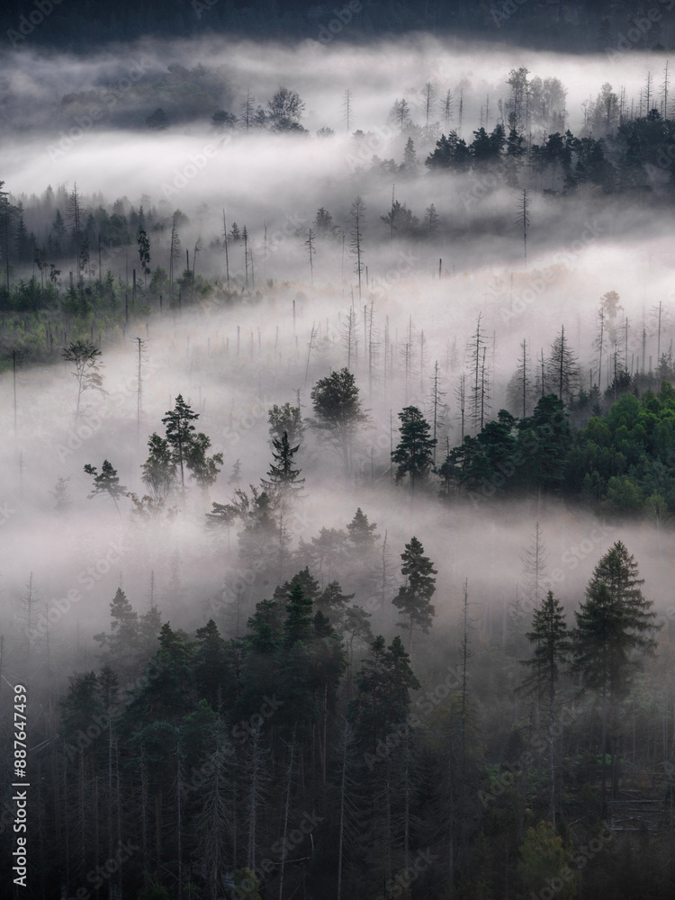 Fototapeta premium Dystopia