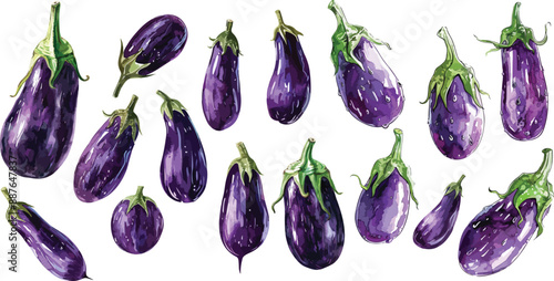 eggplant watercolor clipart