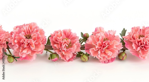 Wallpaper Mural pink and white flowers Torontodigital.ca