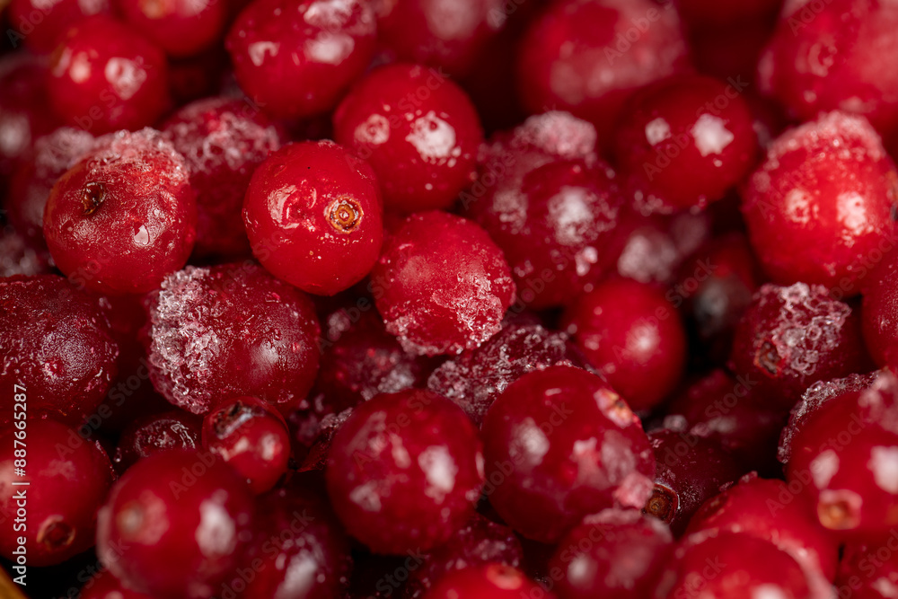 sweet and sour quick-frozen cranberry harvest sweet and sour quick-frozen cranberry harvest