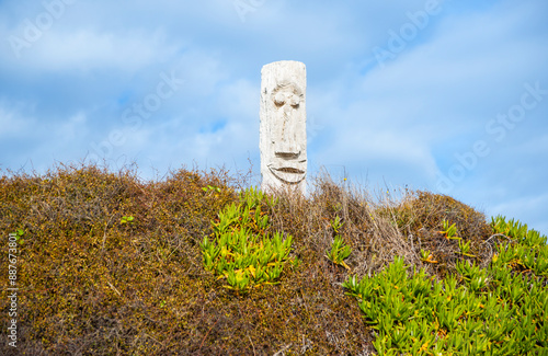 Driftwood Totem on Ohope dunes. photo