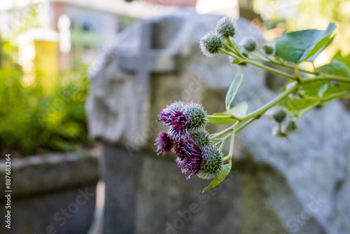 At the Smolensk Cemetery in St. Petersburg, Russia