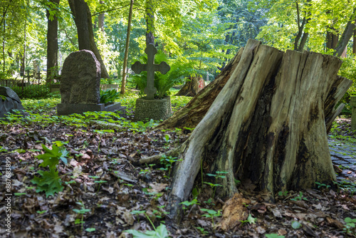 At the Smolensk Cemetery in St. Petersburg, Russia