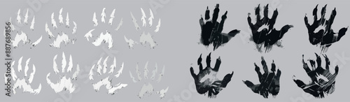 Animal claw marks isolated on transparent background. Illustration of tiger, cat, bear, Halloween monster paw scratch trace on surface. Wild beast or dragon attack laceration.