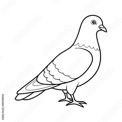 Rock Pigeon Bird Line Art Icon Logo Vector Design photo