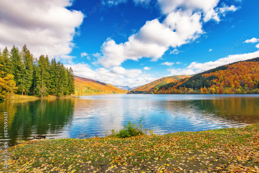 lake in mountains on a sunny day. forest reflecting in the water. stunning cloudscape. beautiful scenery of vilshany reservoir in autumn season. ukraine carpathians
