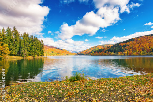 Obraz na płótnie lake in mountains on a sunny day. forest reflecting in the water. stunning cloudscape. beautiful scenery of vilshany reservoir in autumn season. ukraine carpathians w salonie