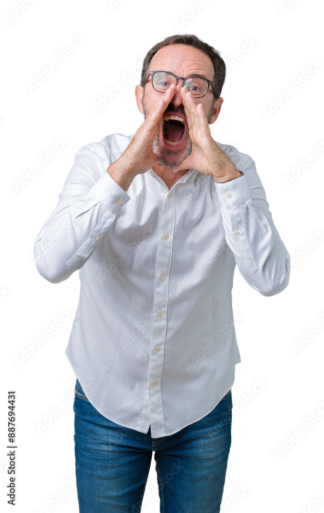 Handsome middle age elegant senior business man wearing glasses over isolated background Shouting angry out loud with hands over mouth Handsome middle age elegant senior business man wearing glasses over isolated background Shouting angry out loud with hands over mouth