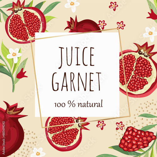Hand drawn pomegranate composition. Vector colored engraved illustration. Juicy natural fruit. Food healthy ingredient.