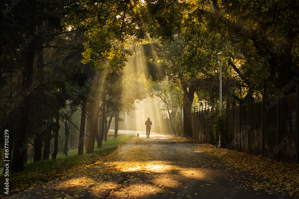 Woman enjoying walking in a beautiful alley of a park with rays of light in autumn morning