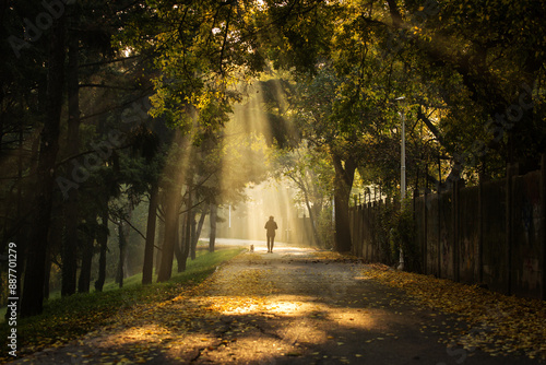 Obraz na płótnie Woman enjoying walking in a beautiful alley of a park with rays of light in autumn morning w salonie