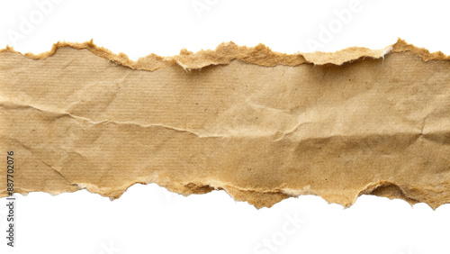 Torn ripper paper sheet Texture isolated on transparent background

