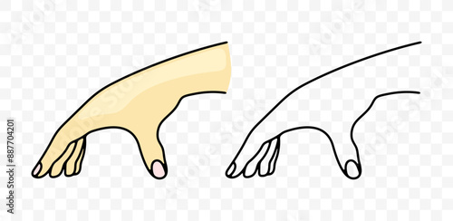 Hand, wrist, touches and touching, graphic design. Sense organs, arm, touch and feel, vector design and illustration