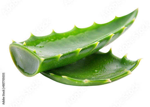 Organic green fresh aloe vera transparent gel isolated on transparent background

