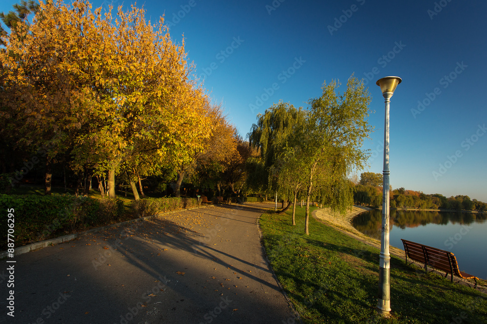 Beautiful landscape in a park in autumn season with lake in background and colourful leafs