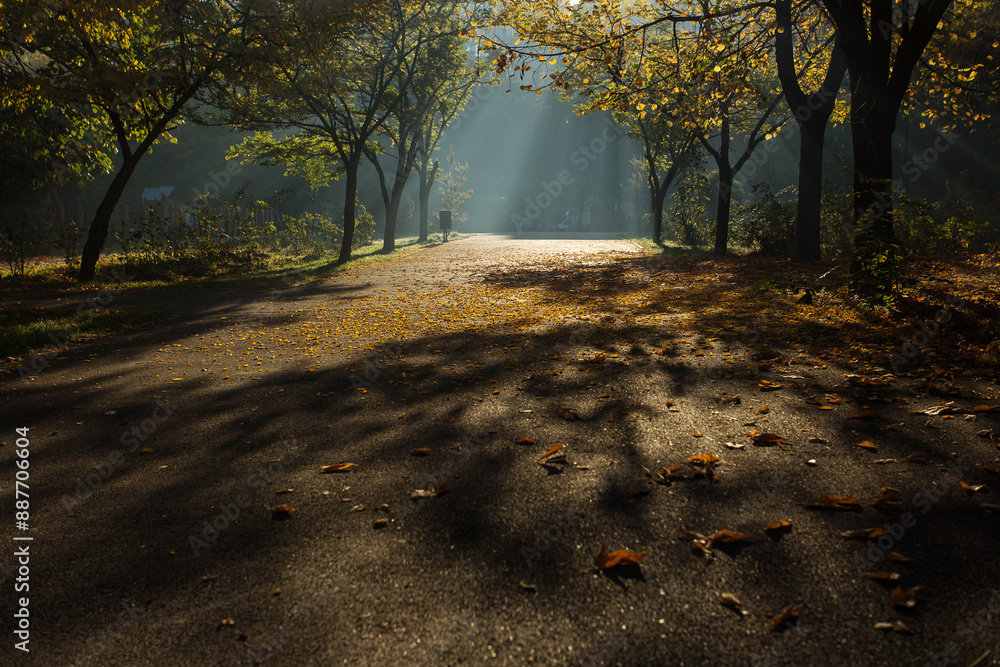 Beautiful colors in a park in autumn season