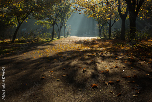 Beautiful colors in a park in autumn season
