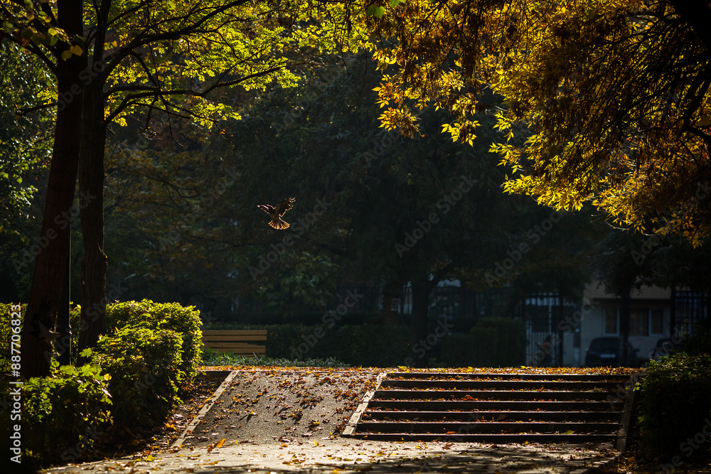 Beautiful colors in a park in autumn season
