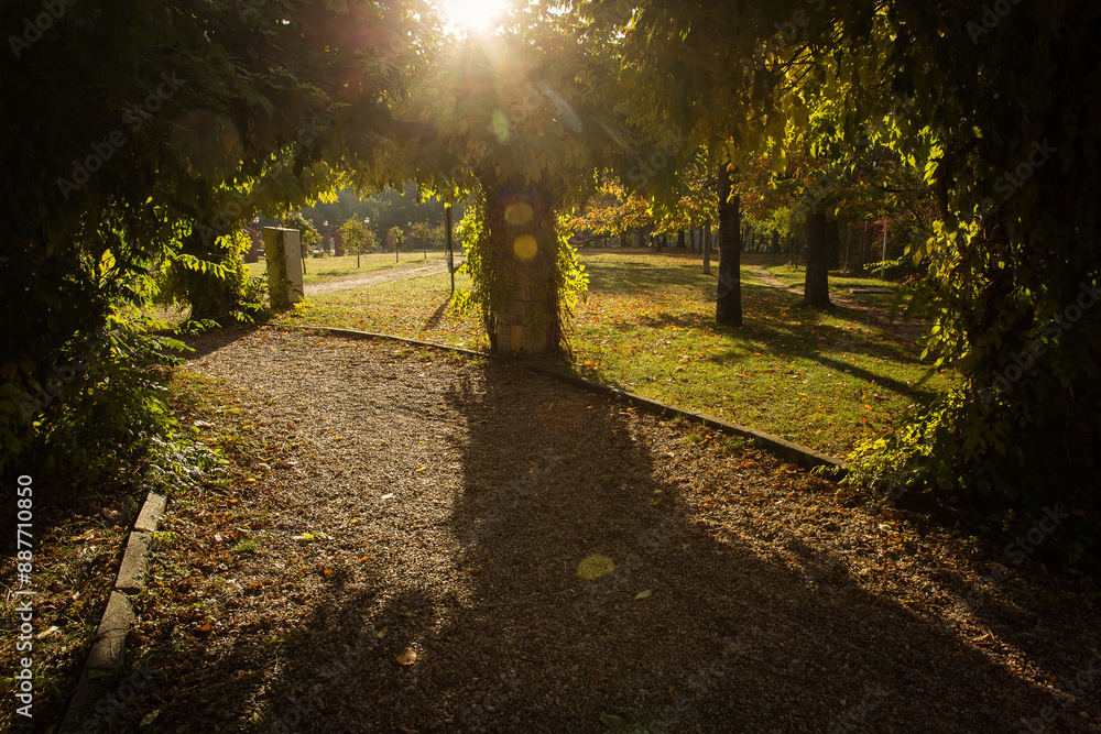 Beautiful landscape in a park in autumn season and colourful leafs