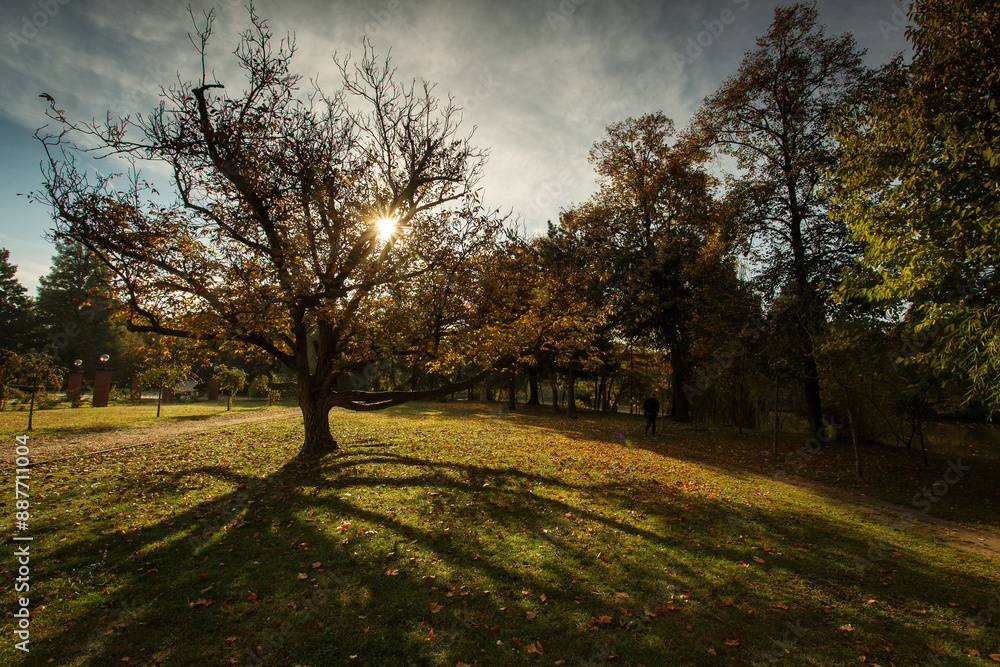 Beautiful landscape in a park in autumn season and colourful leafs Beautiful landscape in a park in autumn season and colourful leafs