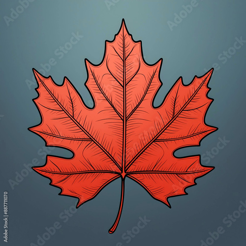 A single maple leaf from Canada against a moss green background. photo