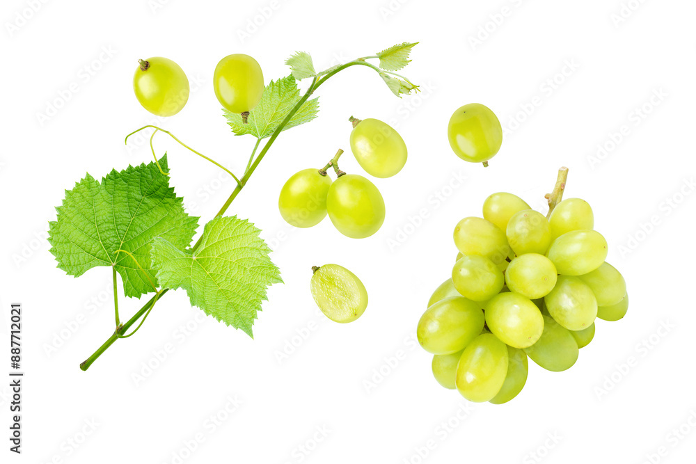bunch of grapes isolated on white bunch of grapes isolated on white