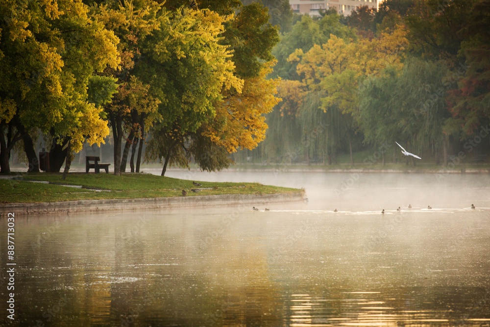Park at sunrise with beautiful autumn colors and lake in background