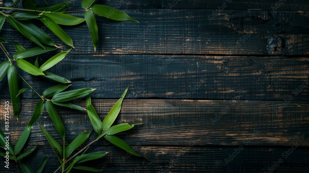 Obraz premium A cluster of vibrant green bamboo shoots, delicately placed on a dark, weathered wooden surface, evokes a sense of natural serenity