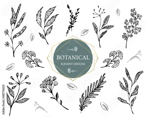 Collection of vector stylized floral elements. Set of decorative twigs for design. Elements for floral logos. Floral decor for wedding invitations. Flower clipart.