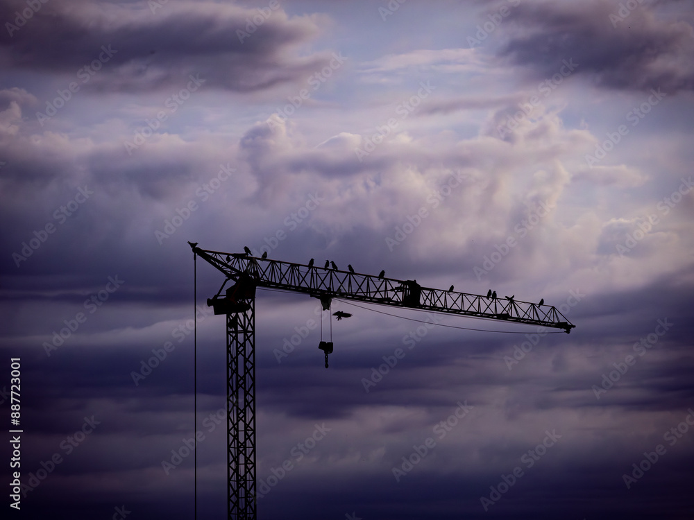construction site with crane construction site with crane